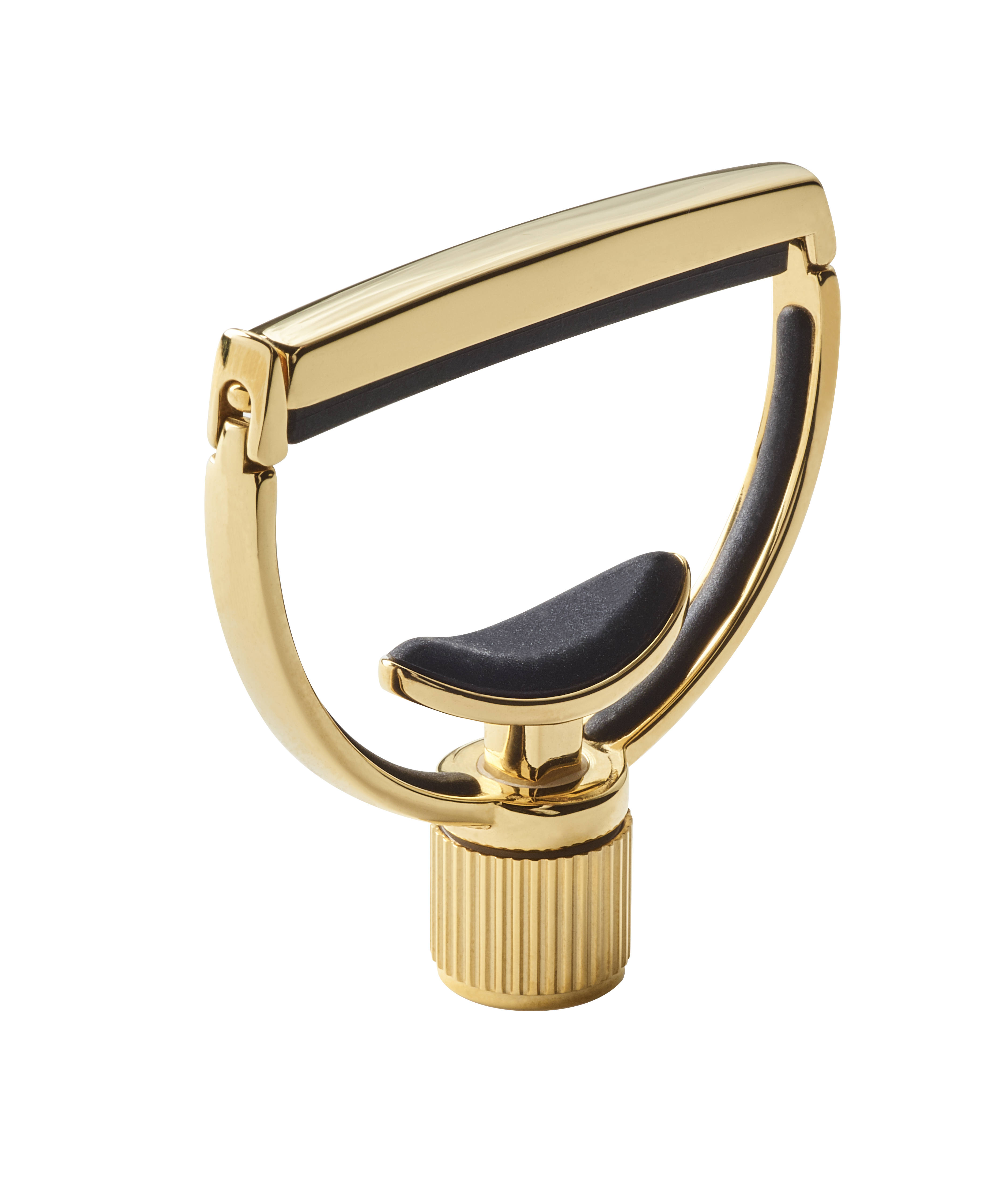 Heritage Guitar (standard neck width 18kt Gold Plate)