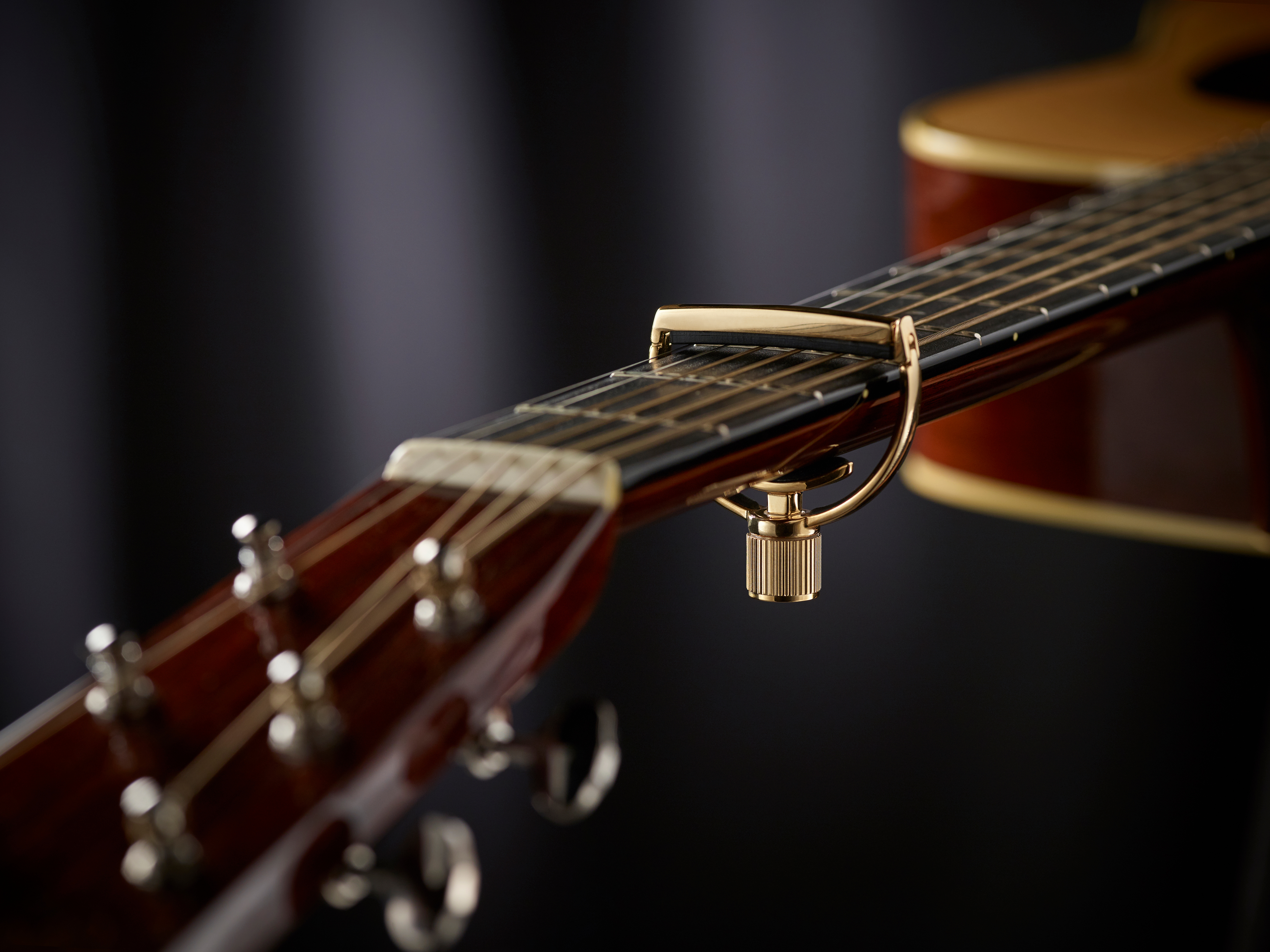 Heritage Guitar (standard neck width 18kt Gold Plate) on guitar