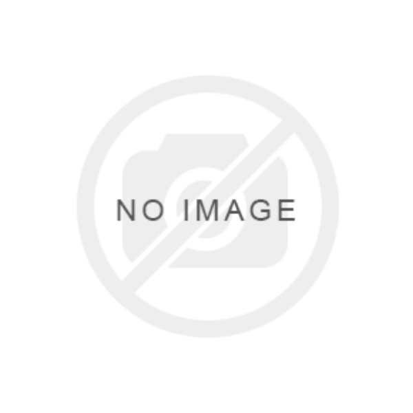 Picture of Artist program